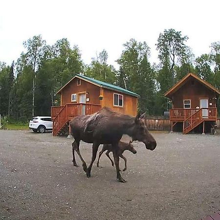 Hotel Talkeetna Love-Lee Cabins Zewnętrze zdjęcie