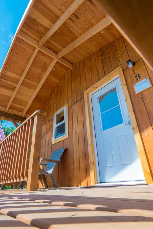 Hotel Talkeetna Love-Lee Cabins Zewnętrze zdjęcie