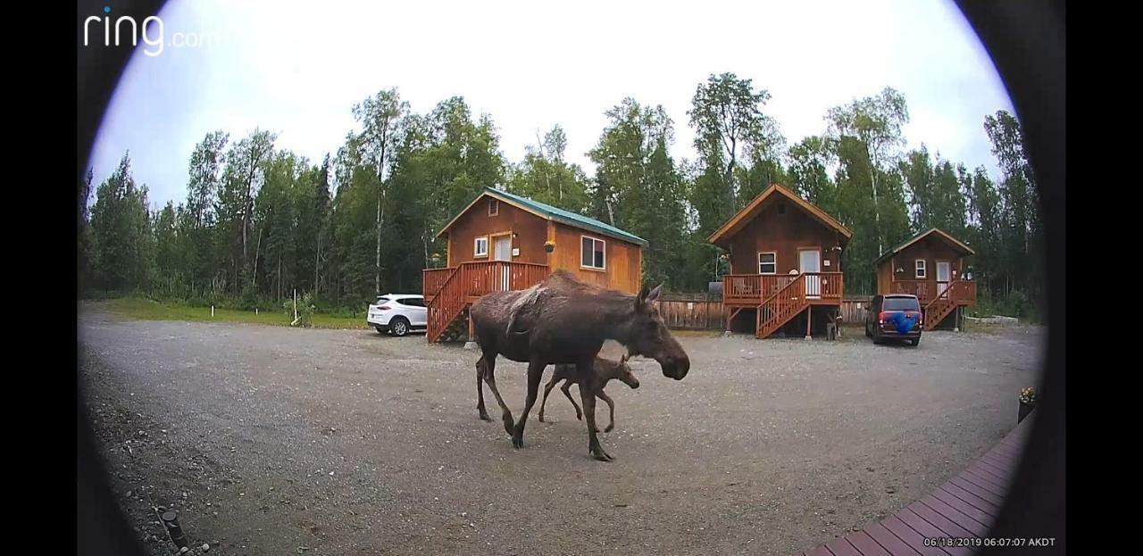 Hotel Talkeetna Love-Lee Cabins Zewnętrze zdjęcie